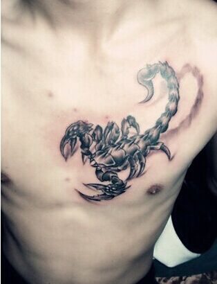 蝎子纹身图案流露出男人的霸气