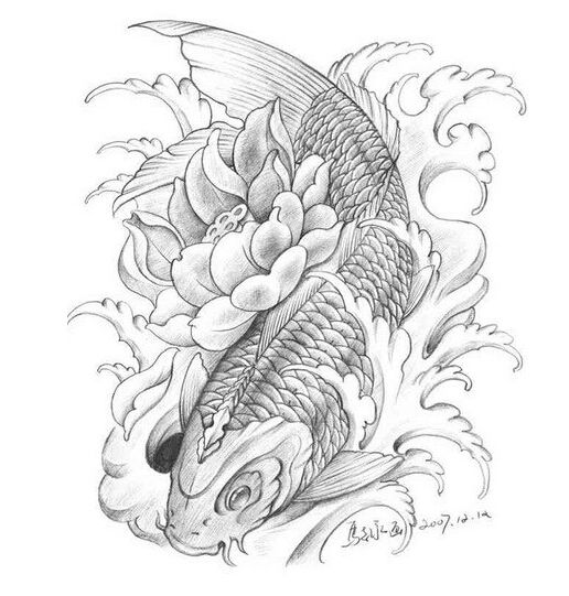 素描鲤鱼纹身手稿素材