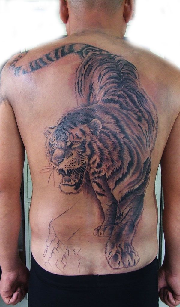 满背下山虎纹身