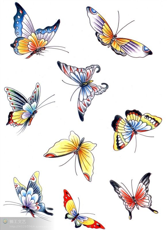 各式蝴蝶纹身素材