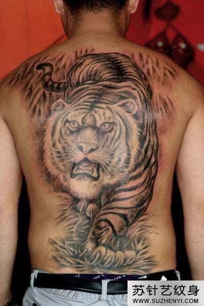 男性背部下山虎纹身图案