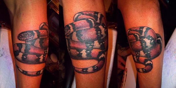 小臂上的环蛇纹身图案