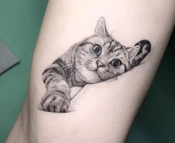 超有爱的萌宠纹身图案精选