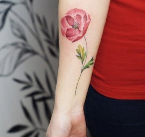 一组彩色花卉纹身图片