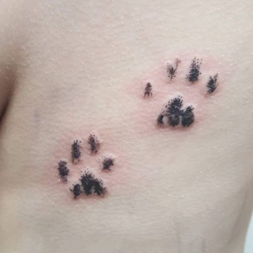 一组可爱的爪子纹身图片