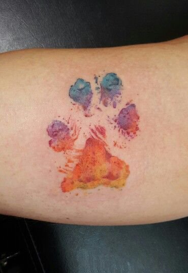 一组可爱的爪子纹身图片