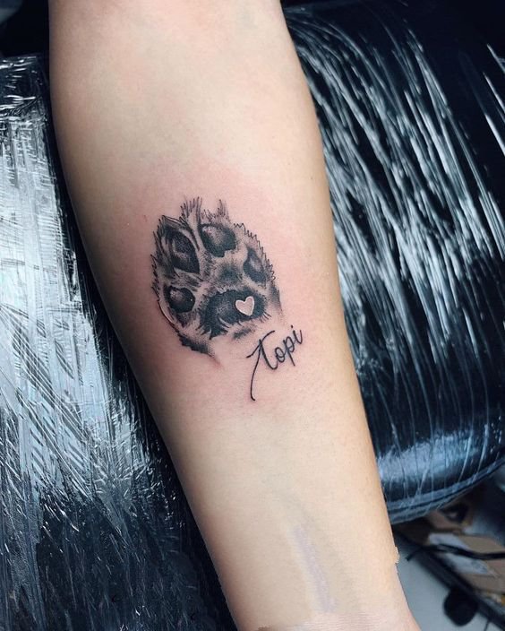 一组可爱的爪子纹身图片