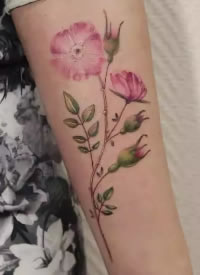 美女专属高雅小清新花卉纹身图片
