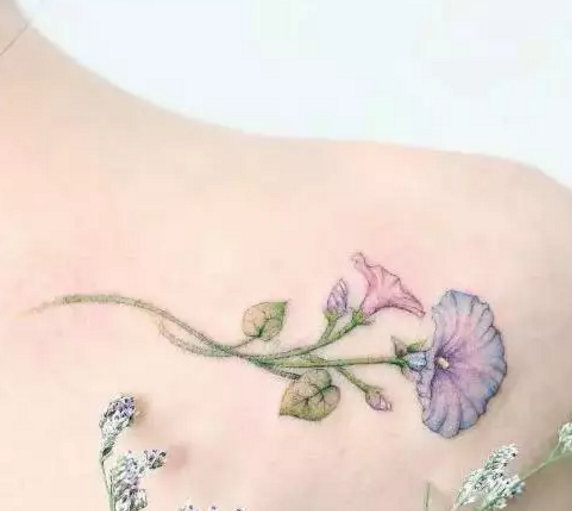 美女专属高雅小清新花卉纹身图片