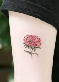 小清新花系纹身，女生第一次纹身的首选