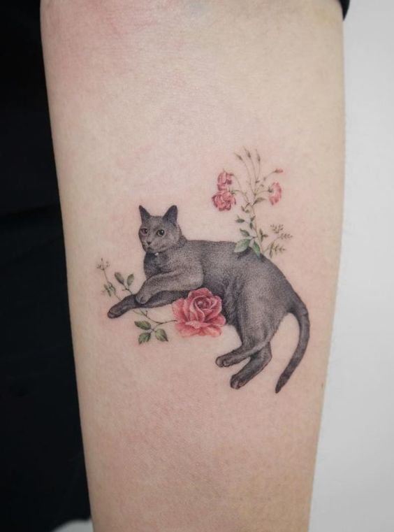 9张睡觉的猫咪纹身图片