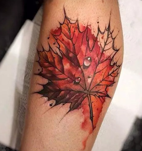 一组精致的枫叶纹身图案欣赏