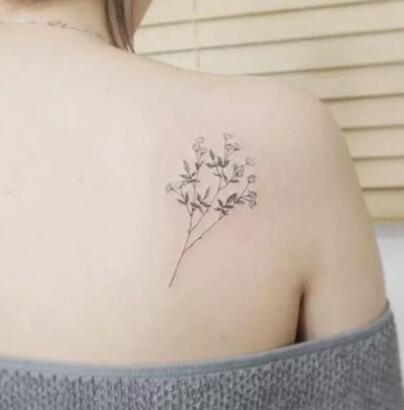 一组素雅清新的“满天星”植物纹身图片