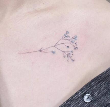一组素雅清新的“满天星”植物纹身图片