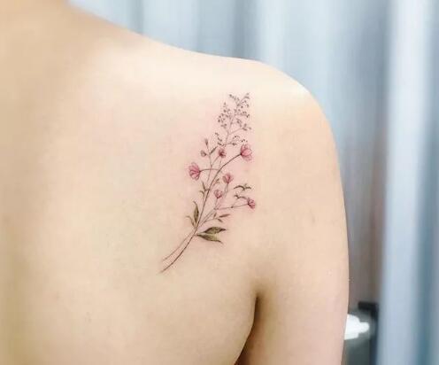 一组素雅清新的“满天星”植物纹身图片