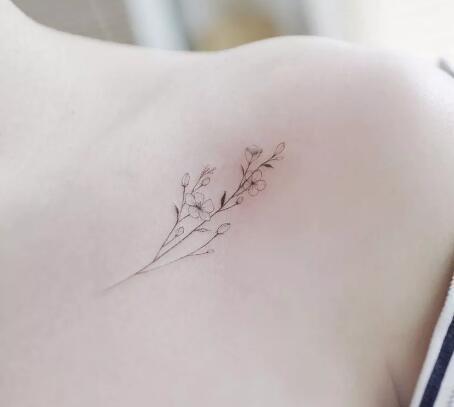 一组素雅清新的“满天星”植物纹身图片