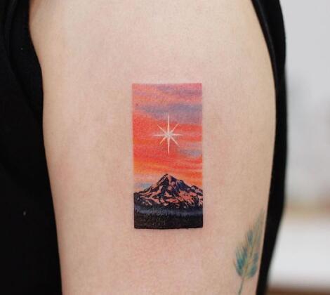 单针技术的彩色小臂纹身图片9张