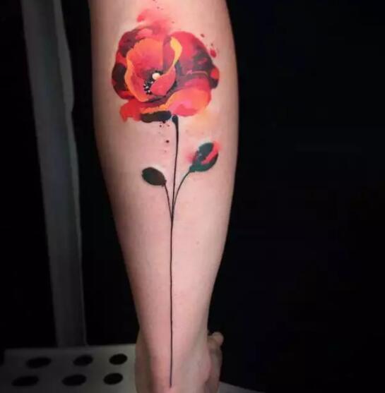 一组美丽的小腿纹身图片