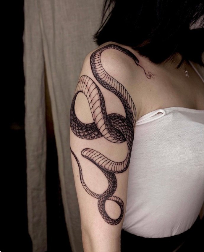 一组暗黑色的蛇纹身图片
