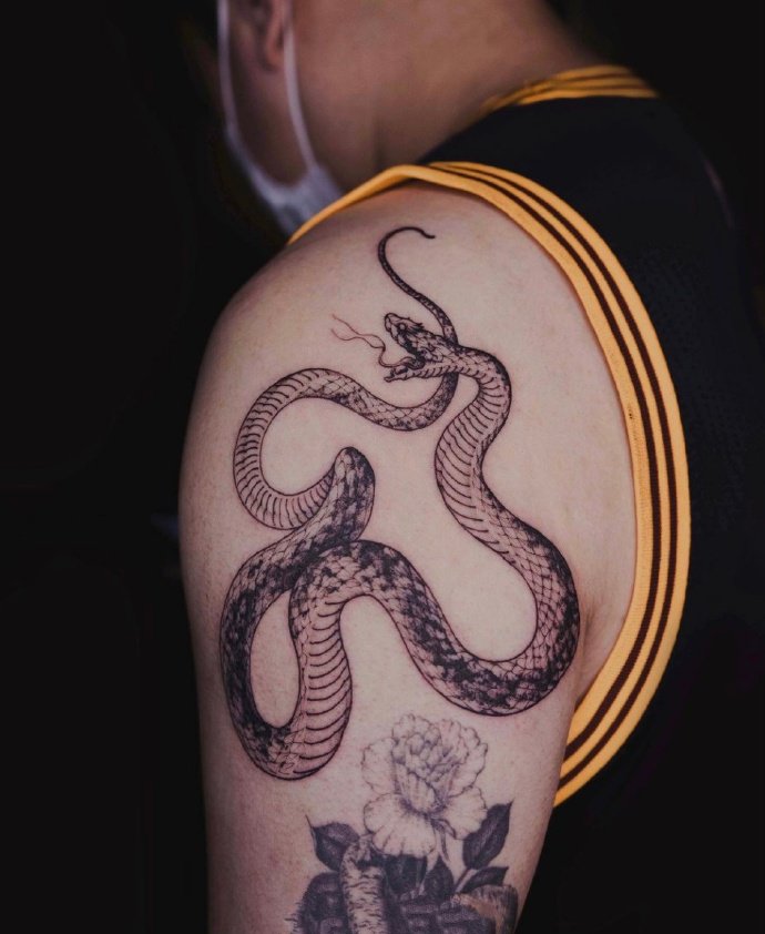 一组暗黑色的蛇纹身图片