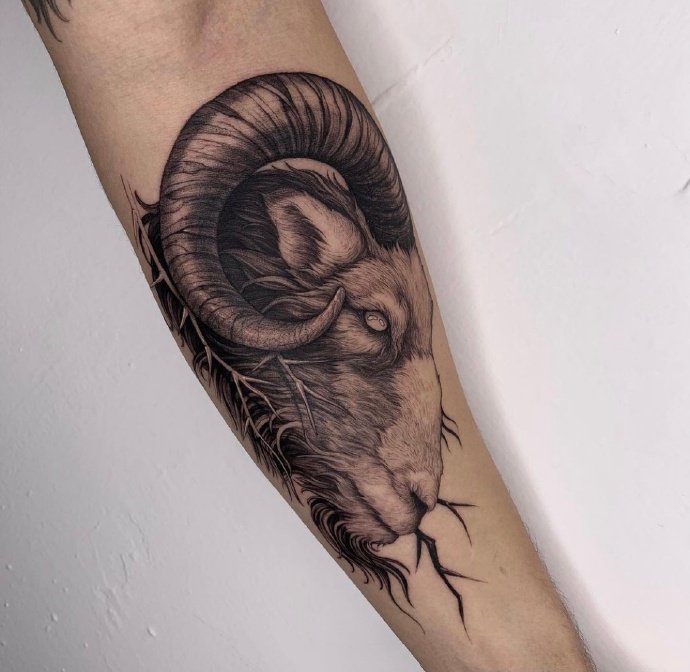 9张较温和细腻的黑灰纹身图片