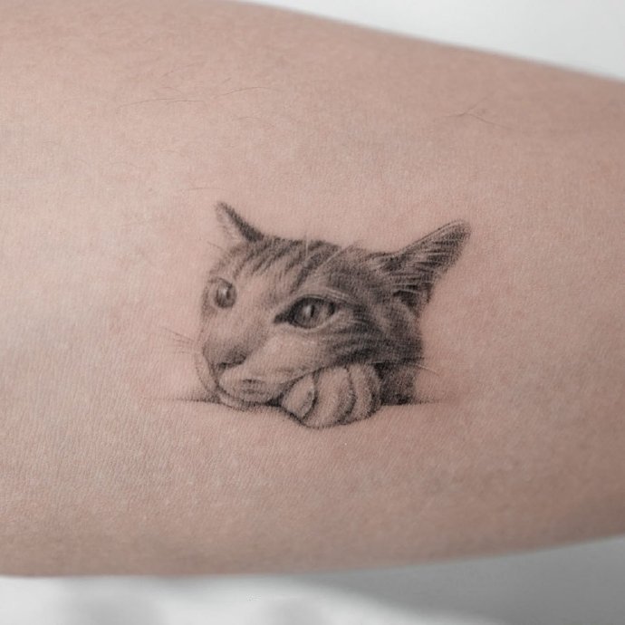 细节满满的小图黑灰纹身图片9张