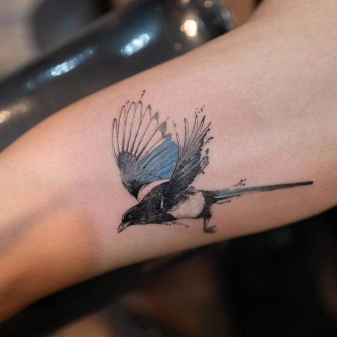 一组机灵活泼的小鸟纹身图片