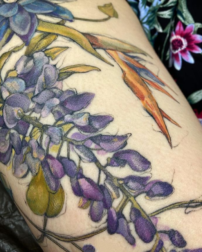 一组精美清新的水彩植物纹身图片