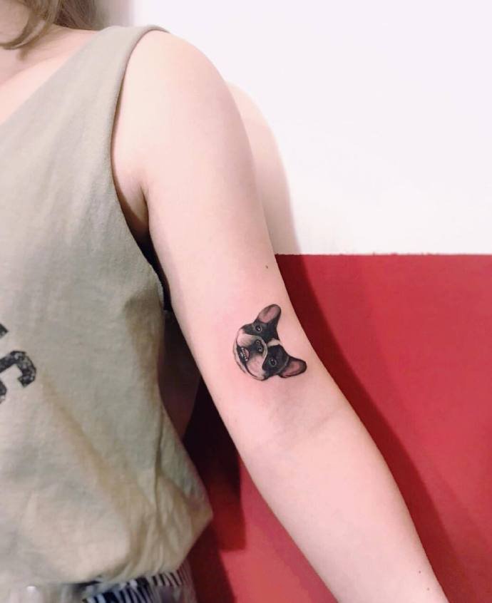 一组可爱的写实宠物纹身图片
