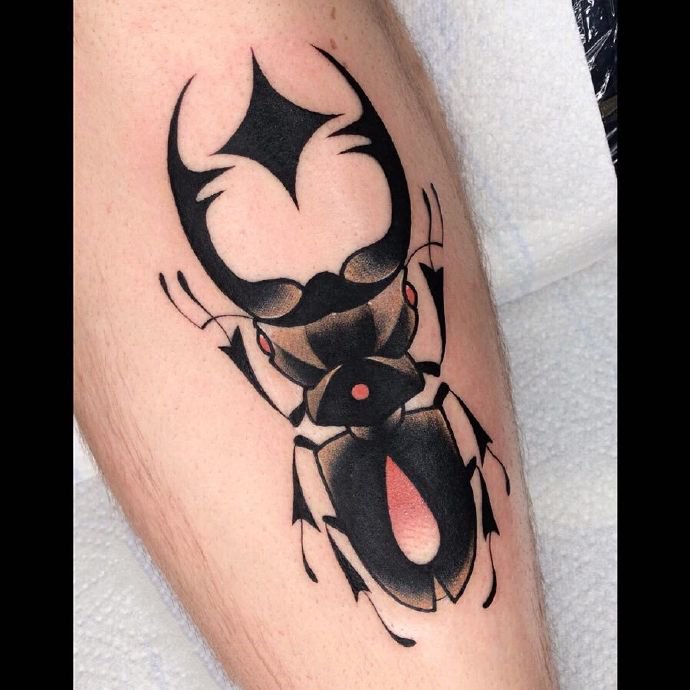 一组昆虫系列的newschool纹身图片