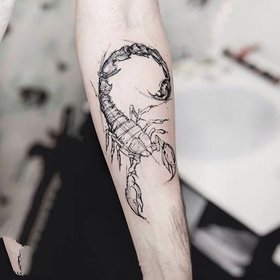 一组天蝎座最爱的蝎子纹身图片