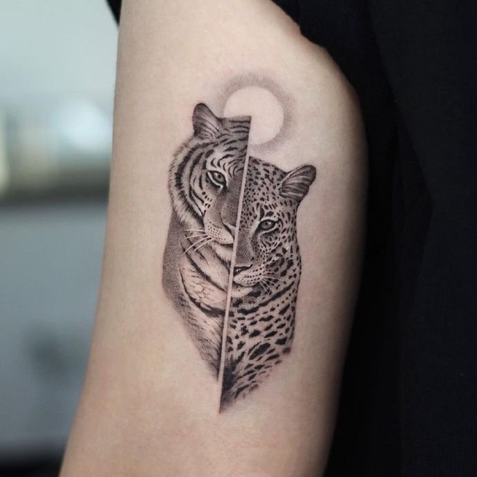 一组各种动物的写实纹身图片