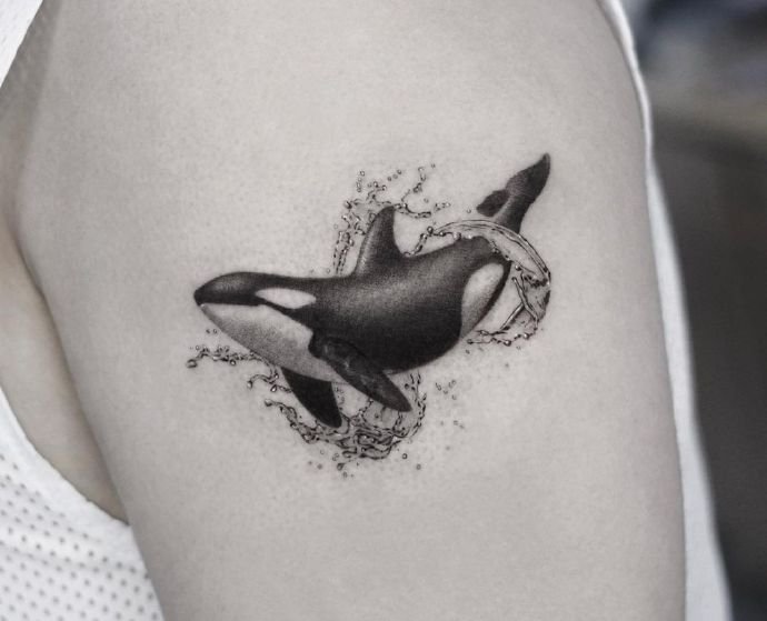 一组各种动物的写实纹身图片