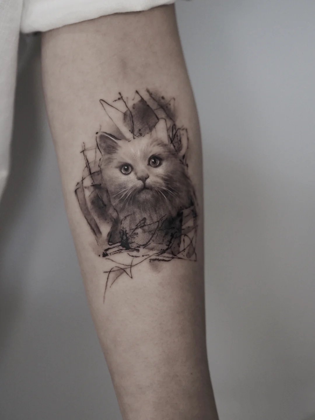 一组萌化人心的猫咪纹身图片