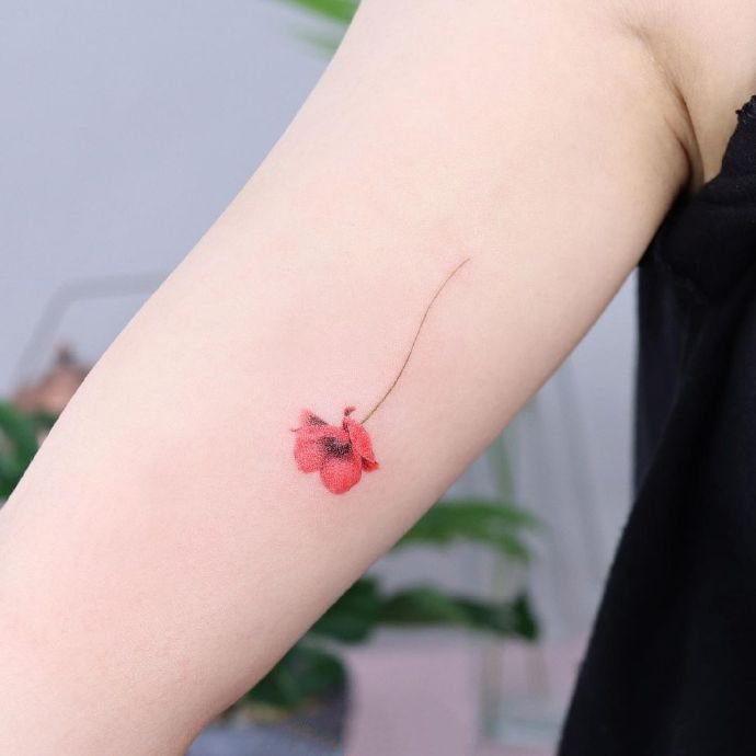 9寮犻€傚悎濂崇敓鐨勭畝鍗曞皬娓呮柊绾硅韩鍥剧墖