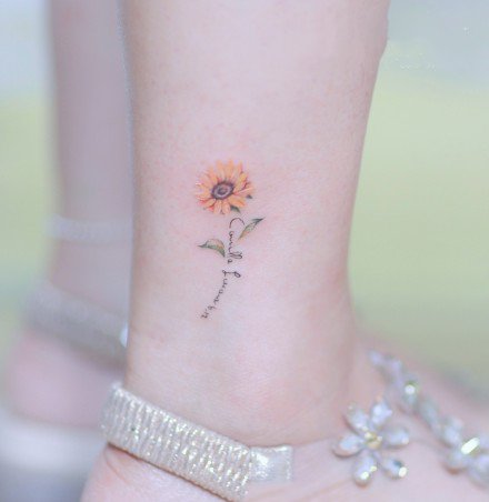 9寮犻€傚悎濂崇敓鐨勭畝鍗曞皬娓呮柊绾硅韩鍥剧墖