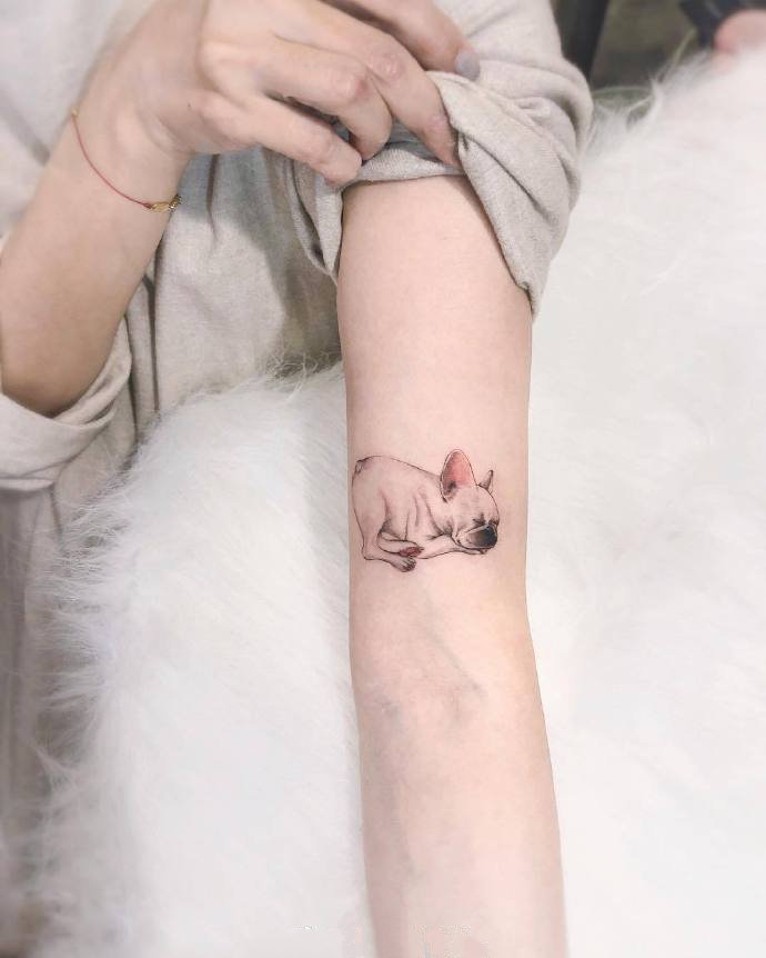 9张陪伴人类的萌宠纹身图片