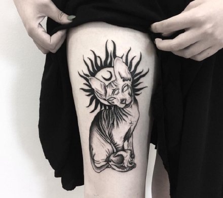 一组斯芬克斯猫的纹身图片