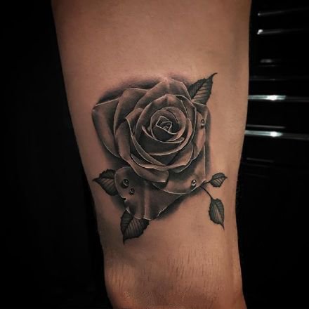 9款黑灰写实的逼真玫瑰花纹身图案