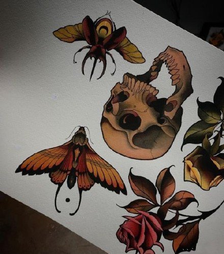 飞蛾纹身 9款彩色school风格的飞蛾子纹身图片