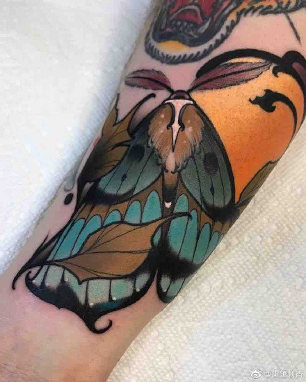 飞蛾纹身 9款彩色school风格的飞蛾子纹身图片