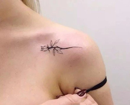 女生肩花纹身 12款好看的小清新女生肩部花朵纹身图案