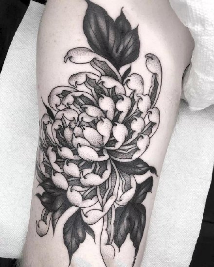 菊花刺青 9款传统风格的各部位菊花纹身图案