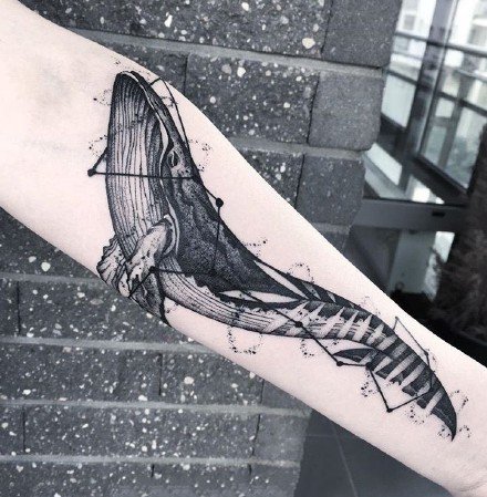 纹身鲸鱼图 9款好看的鲸鱼纹身图片