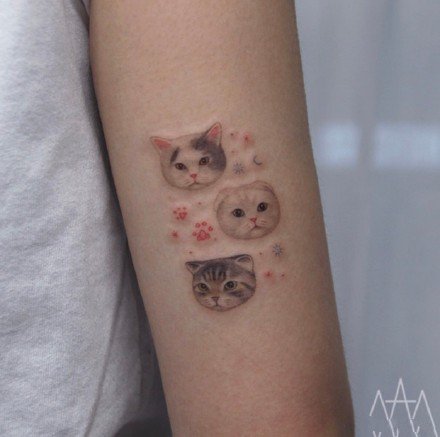 萌翻的的一组宠物小纹身图片