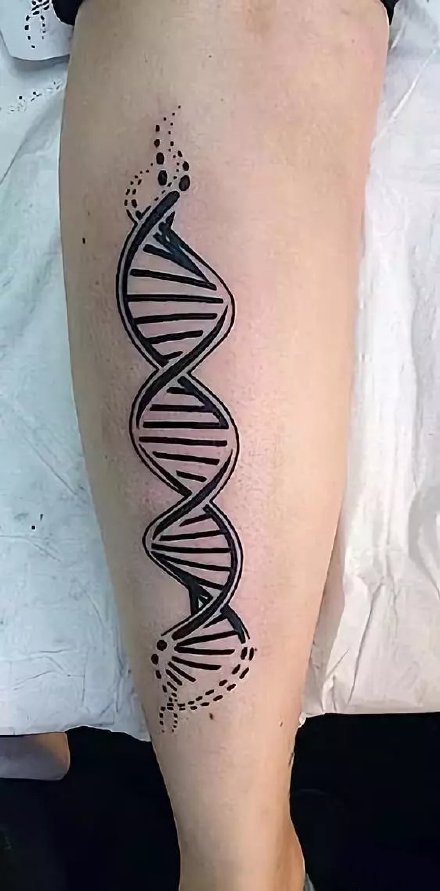 基因链纹身 26款好看的基因链符号主题的纹身图案