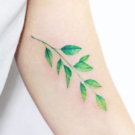 女生小清新的18款漂亮花卉纹身图案