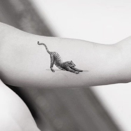 豹子纹身 黑灰色的一组写实小豹子纹身图案