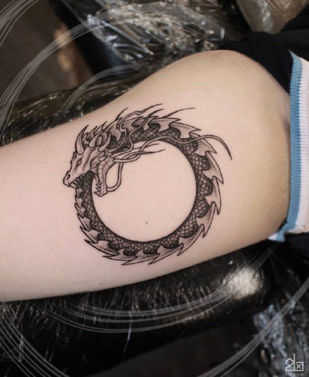 一组好看有创意的小龙纹身图案
