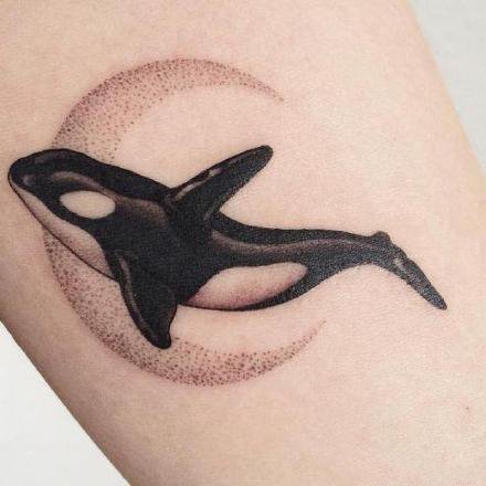 好看的一组小清新鲸鱼和海豚纹身图案